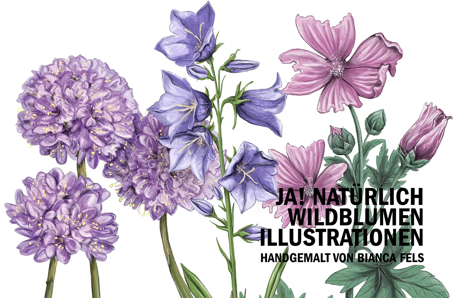 Bianca Fels Illustratorin